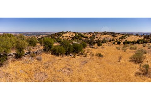 Farm i Evora, Evora, Evora - € 277.000 | Ref: 2608 - foto 30