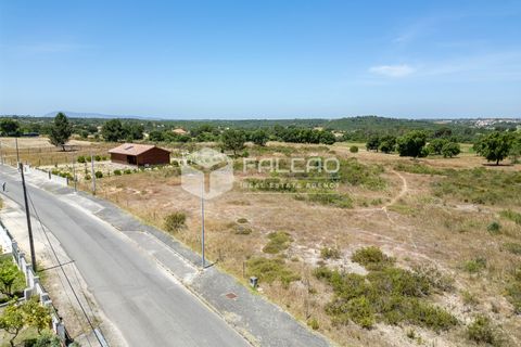 Terra a Santarem, Santarem, Santarem - € 75.000 | Ref: FR166 - foto 2
