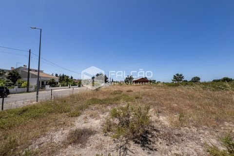 Terra a Santarem, Santarem, Santarem - € 75.000 | Ref: FR166 - foto 3