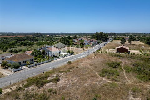 Terra a Santarem, Santarem, Santarem - € 75.000 | Ref: FR166 - foto 4