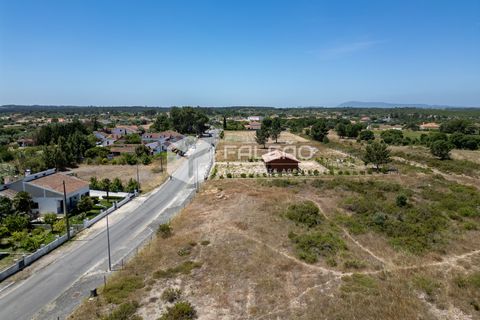 Terra a Santarem, Santarem, Santarem - € 75.000 | Ref: FR166 - foto 5