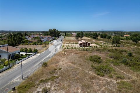 Terra a Santarem, Santarem, Santarem - € 75.000 | Ref: FR166 - foto 6