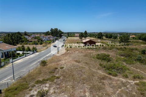 Terra a Santarem, Santarem, Santarem - € 75.000 | Ref: FR166 - foto 7