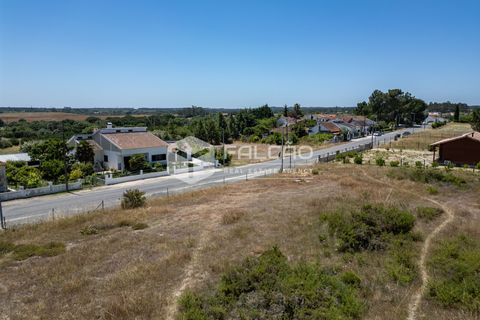 Terra a Santarem, Santarem, Santarem - € 75.000 | Ref: FR166 - foto 8