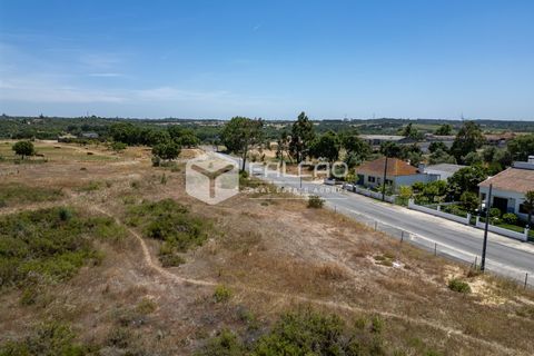 Terra a Santarem, Santarem, Santarem - € 75.000 | Ref: FR166 - foto 9