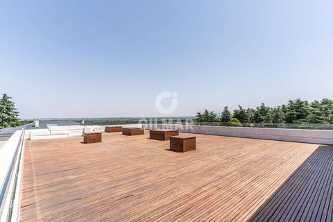 Villa i Madrid, Madrid, Madrid - € 9.000.000 | Ref: 200254 - foto 41
