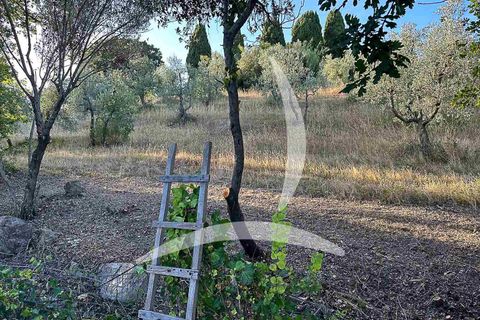 Farm hus i Santa Luce, Pisa, Santa Luce - € 395.000 | Ref: a1190rc60443 - foto 8