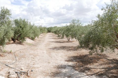 Landejendom i Baza, Granada, Baza - € 69.999 | Ref: v3099 - foto 16