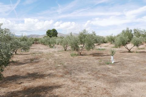 Landejendom i Baza, Granada, Baza - € 69.999 | Ref: v3099 - foto 19