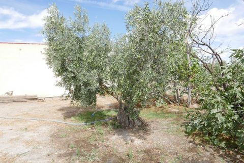 Landejendom i Baza, Granada, Baza - € 69.999 | Ref: v3099 - foto 20