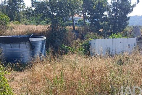 Terra a Covilha, Castelo Branco, Covilha - € 99.000 | Ref: 137191 - foto 10