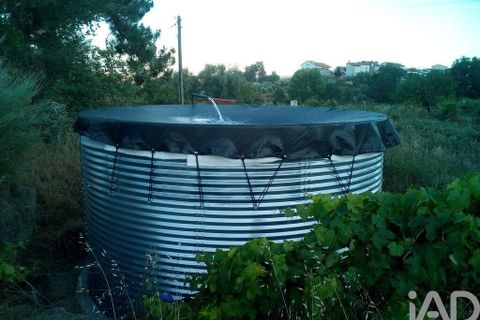 Terra a Covilha, Castelo Branco, Covilha - € 99.000 | Ref: 137191 - foto 11