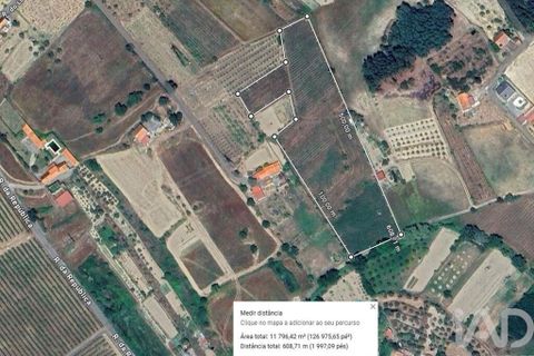 Terra a Covilha, Castelo Branco, Covilha - € 99.000 | Ref: 137191 - foto 16