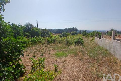 Terra a Covilha, Castelo Branco, Covilha - € 99.000 | Ref: 137191 - foto 17