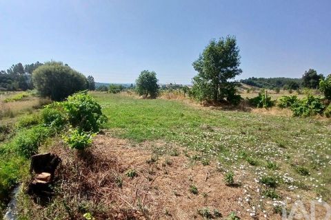 Terra a Covilha, Castelo Branco, Covilha - € 99.000 | Ref: 137191 - foto 18