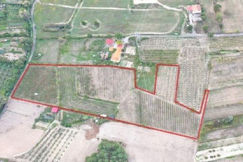 Terra a Covilha, Castelo Branco, Covilha - € 99.000 | Ref: 137191 - foto 21
