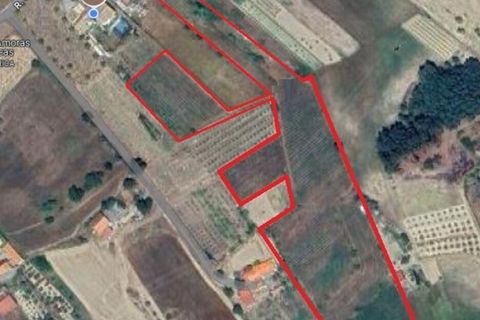 Terra a Covilha, Castelo Branco, Covilha - € 99.000 | Ref: 137191 - foto 28