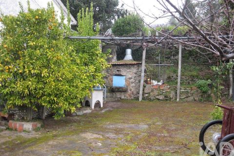 Rækkehus i Guarda, Guarda, Guarda - € 65.000 | Ref: 37688 - foto 8