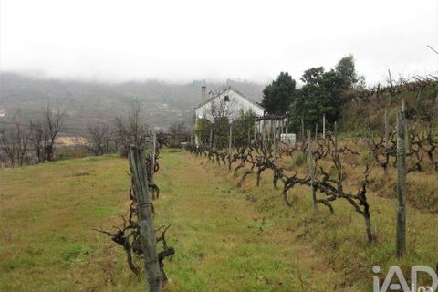 Rækkehus i Guarda, Guarda, Guarda - € 65.000 | Ref: 37688 - foto 29