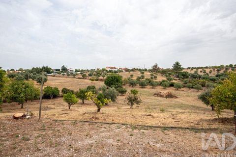 Byhus i Santarem, Santarem, Santarem - € 597.000 | Ref: 146980 - foto 28