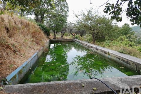 Byhus i Covilha, Castelo Branco, Covilha - € 480.000 | Ref: 150061 - foto 15