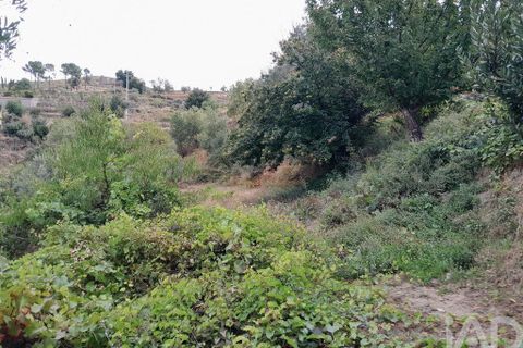 Byhus i Covilha, Castelo Branco, Covilha - € 480.000 | Ref: 150061 - foto 20