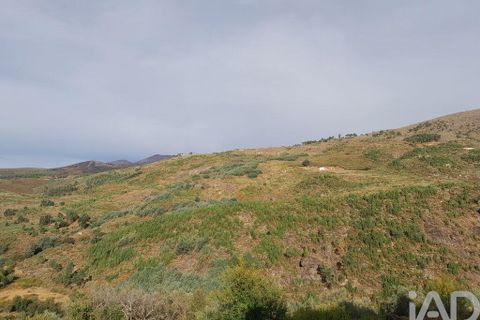 Byhus i Covilha, Castelo Branco, Covilha - € 480.000 | Ref: 150061 - foto 25