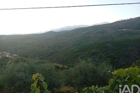 Byhus i Covilha, Castelo Branco, Covilha - € 480.000 | Ref: 150061 - foto 26