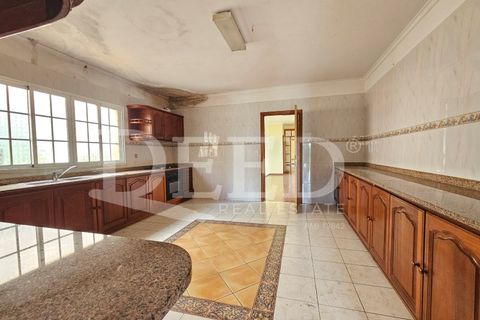 Villa i Ponta do Sol, Madeira, Ponta do Sol - € 425.000 | Ref: DEED/1014 - foto 15