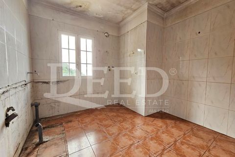 Villa i Ponta do Sol, Madeira, Ponta do Sol - € 425.000 | Ref: DEED/1014 - foto 16
