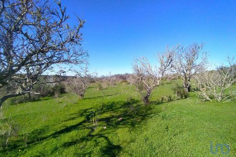 Helårsgrund i Sagres, Faro, Sagres - € 125.000 | Ref: 150070 - foto 11