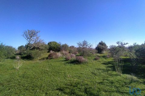 Helårsgrund i Sagres, Faro, Sagres - € 125.000 | Ref: 150070 - foto 12