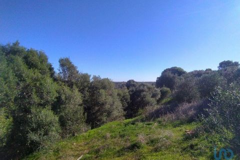 Helårsgrund i Sagres, Faro, Sagres - € 125.000 | Ref: 150070 - foto 14