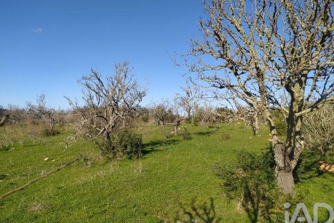 Helårsgrund i Sagres, Faro, Sagres - € 125.000 | Ref: 150070 - foto 19