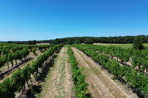 Villa a Issigeac, Dordogne, Issigeac - € 795.000 | Ref: BVI80583 - foto 2