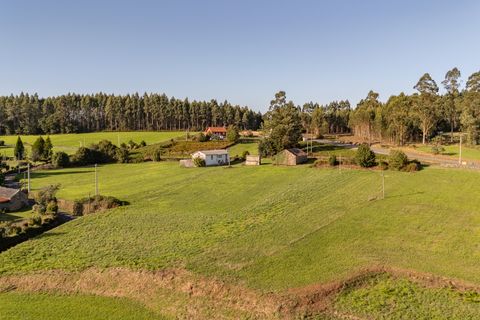Herregård i Monfero, Coruna, Monfero - € 155 000 | Ref: 2508 - foto 29