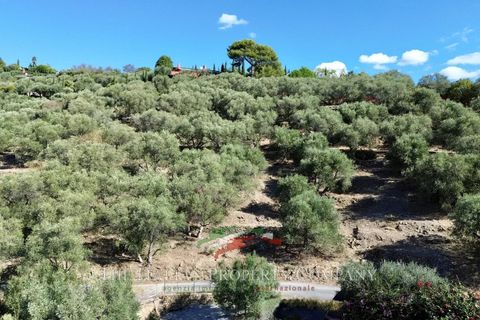 Helårsgrund i Imperia, Imperia, Imperia - € 170.000 | Ref: T219 - foto 4