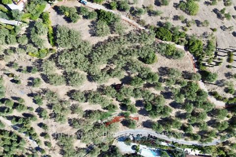 Helårsgrund i Imperia, Imperia, Imperia - € 170.000 | Ref: T219 - foto 5