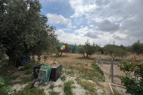 Landejendom i Velez-Rubio, Almeria, Velez-Rubio - € 219.000 | Ref: 2748 - foto 18