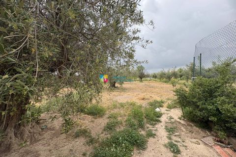 Landejendom i Velez-Rubio, Almeria, Velez-Rubio - € 219.000 | Ref: 2748 - foto 19