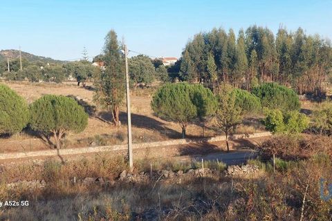 Terra a Portalegre, Portalegre, Portalegre - € 137.000 | Ref: 149716 - foto 2
