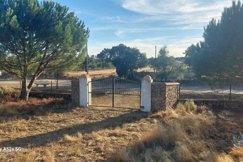 Terra a Portalegre, Portalegre, Portalegre - € 137.000 | Ref: 149716 - foto 4