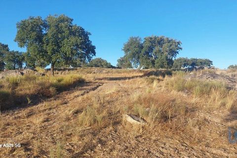 Terra a Portalegre, Portalegre, Portalegre - € 137.000 | Ref: 149716 - foto 5