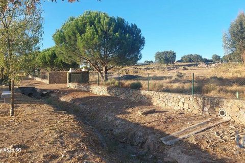 Terra a Portalegre, Portalegre, Portalegre - € 137.000 | Ref: 149716 - foto 6
