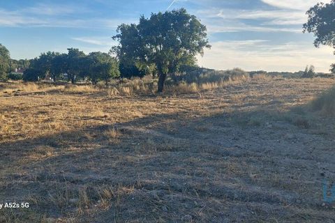 Terra a Portalegre, Portalegre, Portalegre - € 137.000 | Ref: 149716 - foto 7