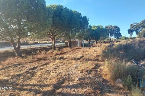 Terra a Portalegre, Portalegre, Portalegre - € 137.000 | Ref: 149716 - foto 9