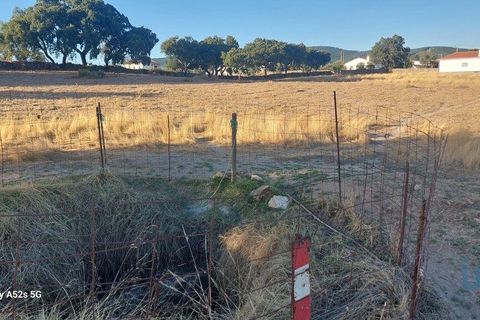 Terra a Portalegre, Portalegre, Portalegre - € 137.000 | Ref: 149716 - foto 10