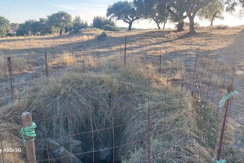 Terra a Portalegre, Portalegre, Portalegre - € 137.000 | Ref: 149716 - foto 11