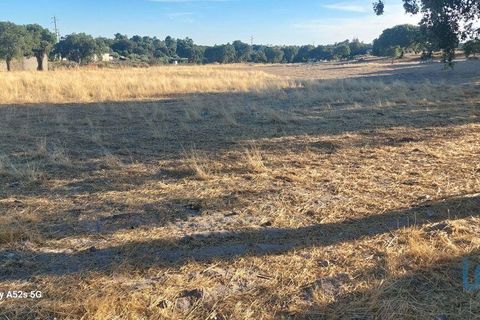 Terra a Portalegre, Portalegre, Portalegre - € 137.000 | Ref: 149716 - foto 13