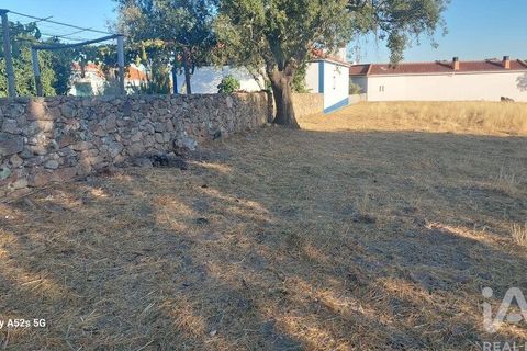 Terra a Portalegre, Portalegre, Portalegre - € 137.000 | Ref: 149716 - foto 15